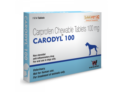 Carodyl Carprofen Chewable Tablets 100 mg